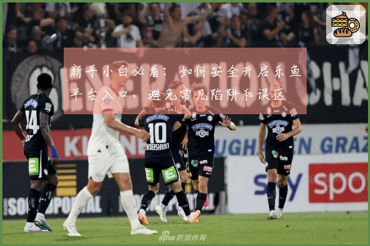 新手小白必看：如何安全开启乐鱼平台入口，避免常见陷阱和误区