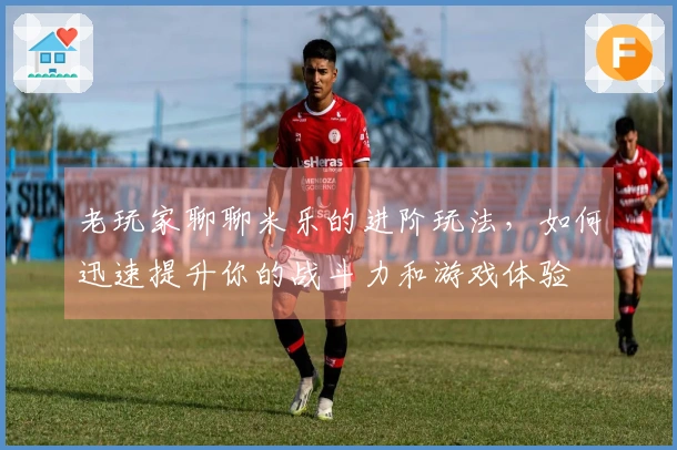 老玩家聊聊米乐的进阶玩法，如何迅速提升你的战斗力和游戏体验