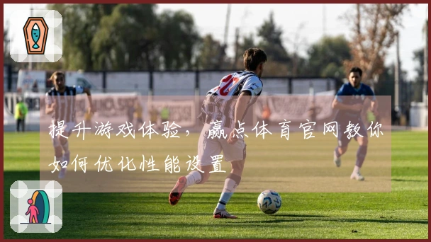 提升游戏体验，赢点体育官网教你如何优化性能设置
